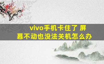 vivo手机卡住了 屏幕不动也没法关机怎么办